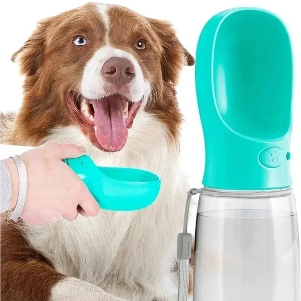 Pet‎ Care Cup
